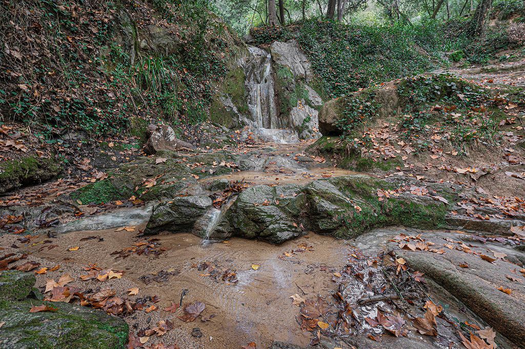 C torrent del verder